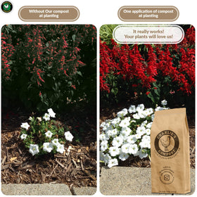 Charlie's Compost biochar blend improves nutrient retention in soil