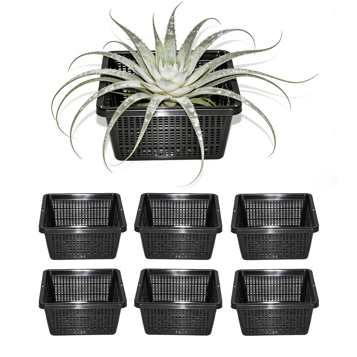 CHTASO 6-pack square planter basket in pond supports healthy aquatic growth.