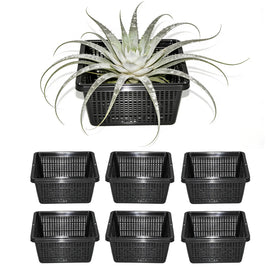 CHTASO 6-pack square planter basket in pond supports healthy aquatic growth.