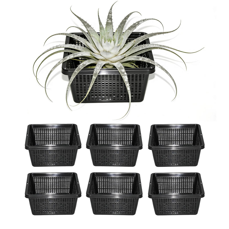CHTASO 6-pack square planter basket in pond supports healthy aquatic growth.