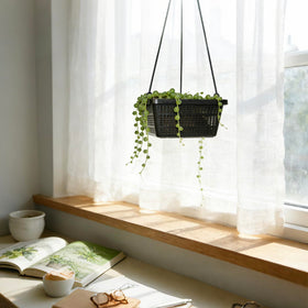 Ideal for aquaponics and hydroponics setups.