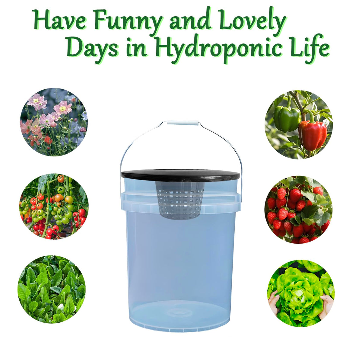 CHTASO net-pot lid for orchids, tomatoes, peppers and herbs in hydroponics