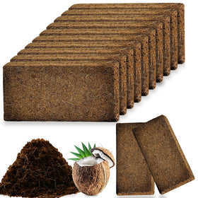Cheardia 12-pack bricks ready for setup, expanding for improved root growth