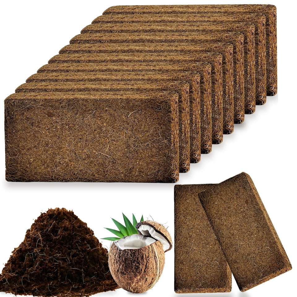 Cheardia 12-pack bricks ready for setup, expanding for improved root growth