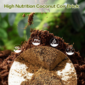 Cheardia coir preparation in water demonstrates easy expansion process
