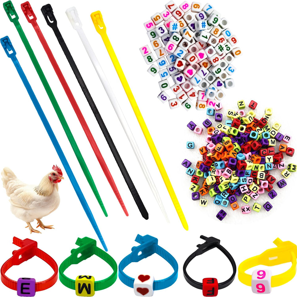 CHENGLAI chicken leg band 100-piece pack for easy flock identification.