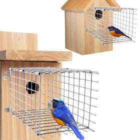 Chephon bluebird predator guard installed on birdhouse to deter predators during nesting.