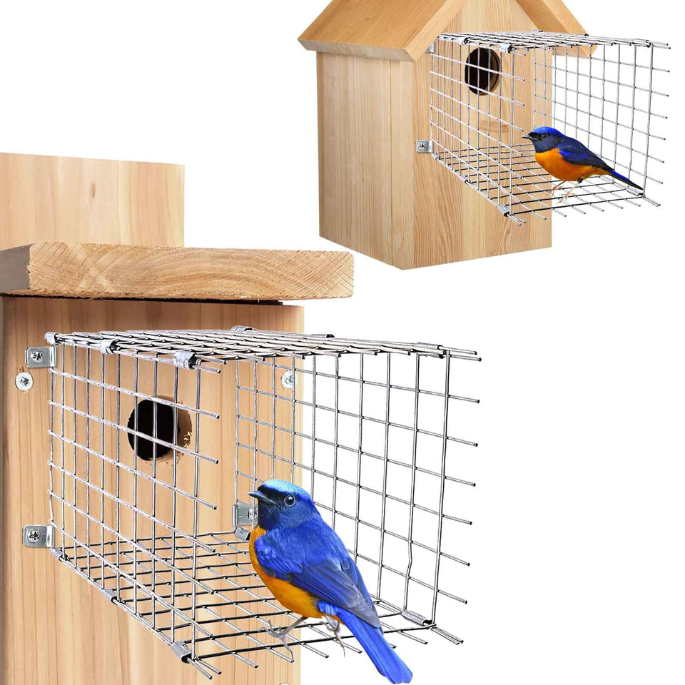 Chephon bluebird predator guard installed on birdhouse to deter predators during nesting.