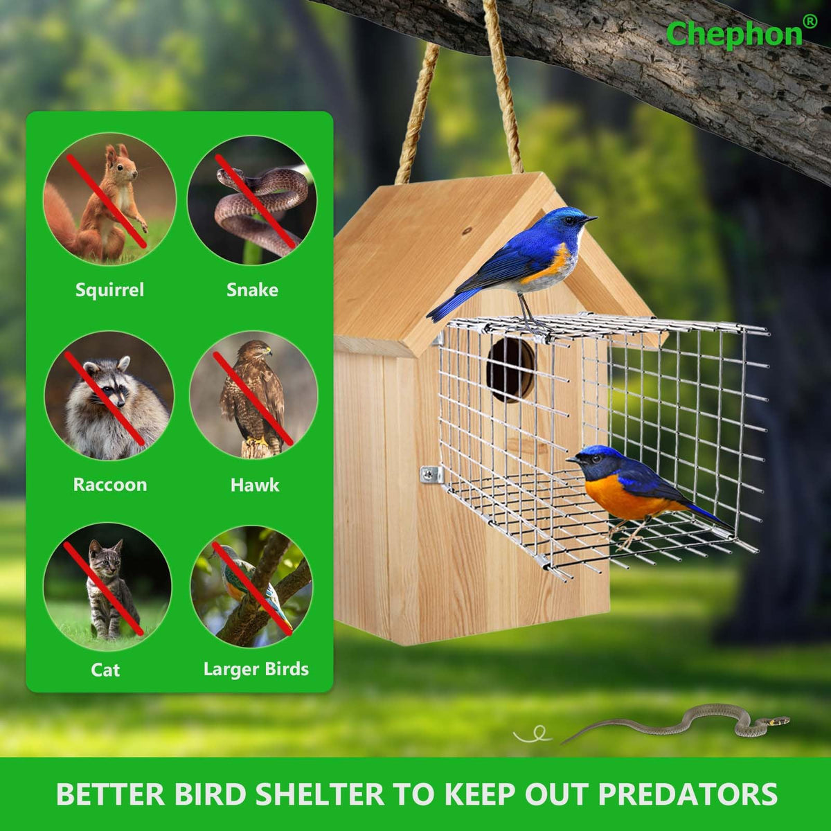 Chephon bluebird nesting box perch feature supports chicks and reduces falls.