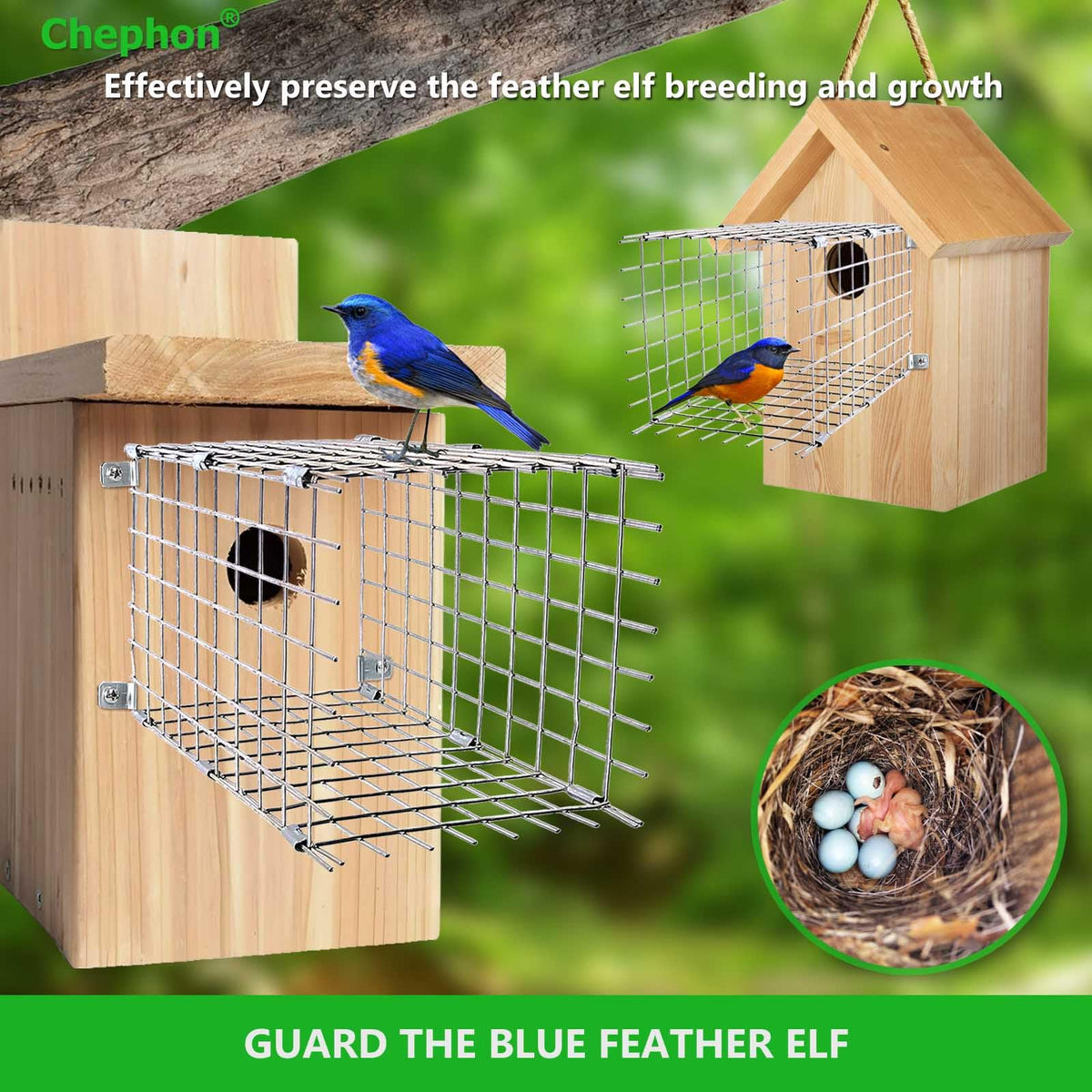 Chephon square bluebird house front view with guard for secure nesting.