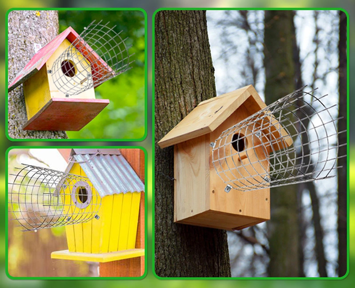 Chephon Two-pack bluebird guards for safer nesting