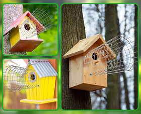 Chephon Two-pack bluebird guards for safer nesting