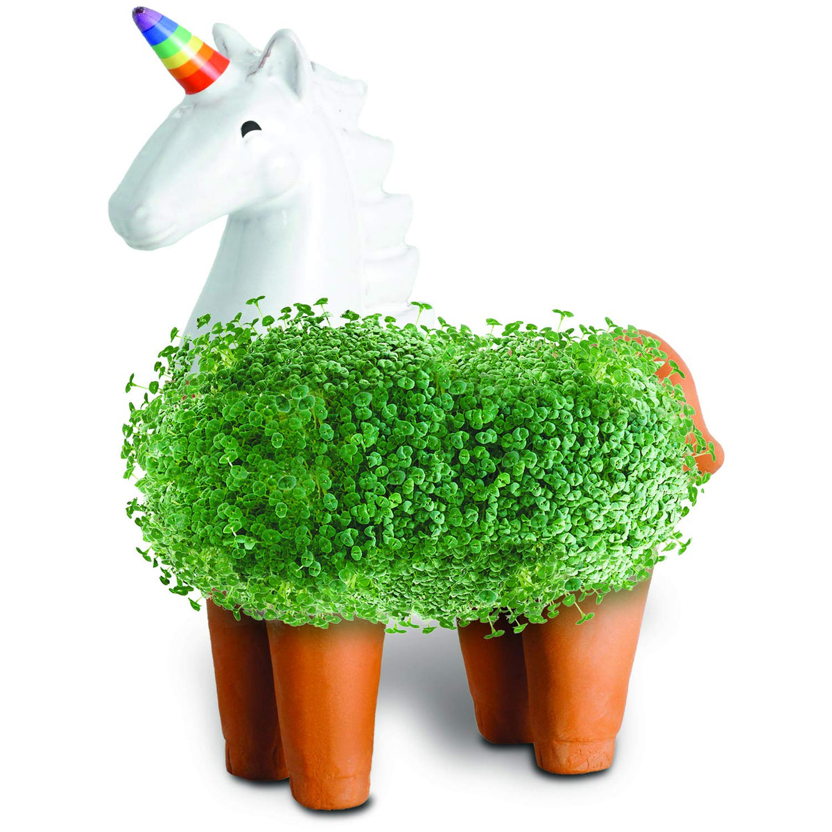 Chia Unicorn Chia Pet planter care instructions closeup with growing tips