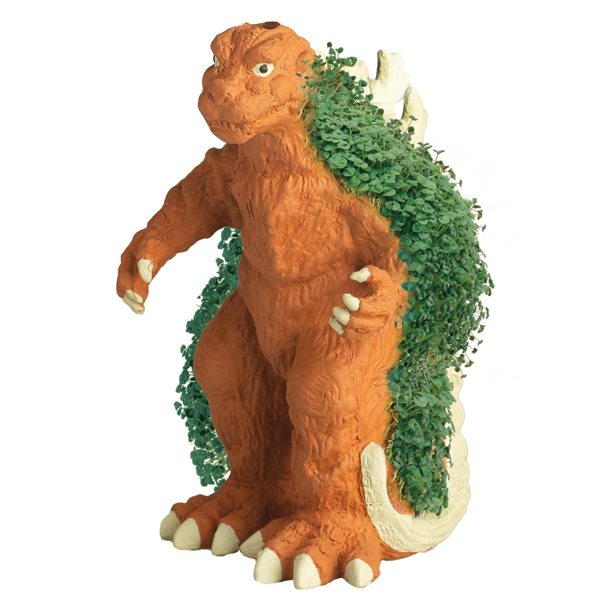 Chia Godzilla growth phase image shows vibrant greens in just weeks