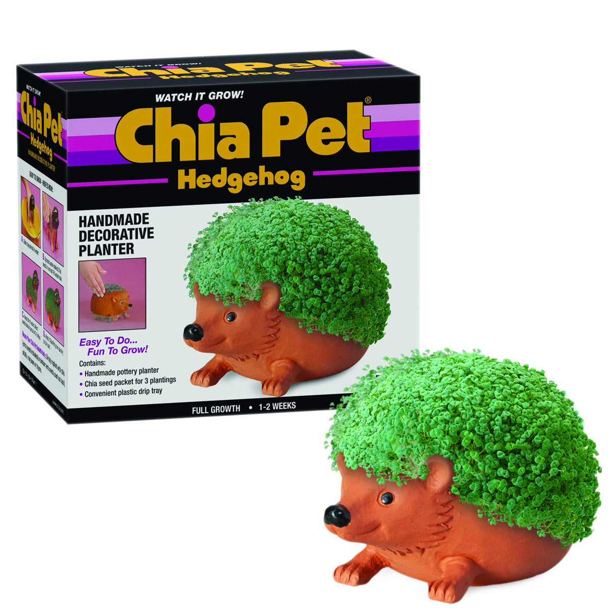 Chia Hedgehog planter in terra cotta showing a lush, growing chia coat for indoor display.