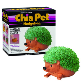 Chia Hedgehog planter in terra cotta showing a lush, growing chia coat for indoor display.