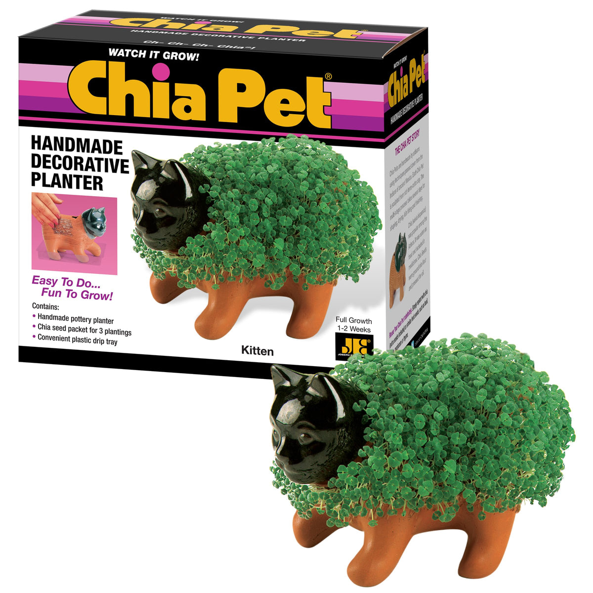 Chia Pet Kitten pottery planter with sprouting seeds for playful desk greenery