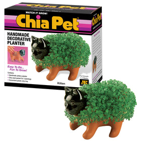 Chia Pet Kitten pottery planter with sprouting seeds for playful desk greenery