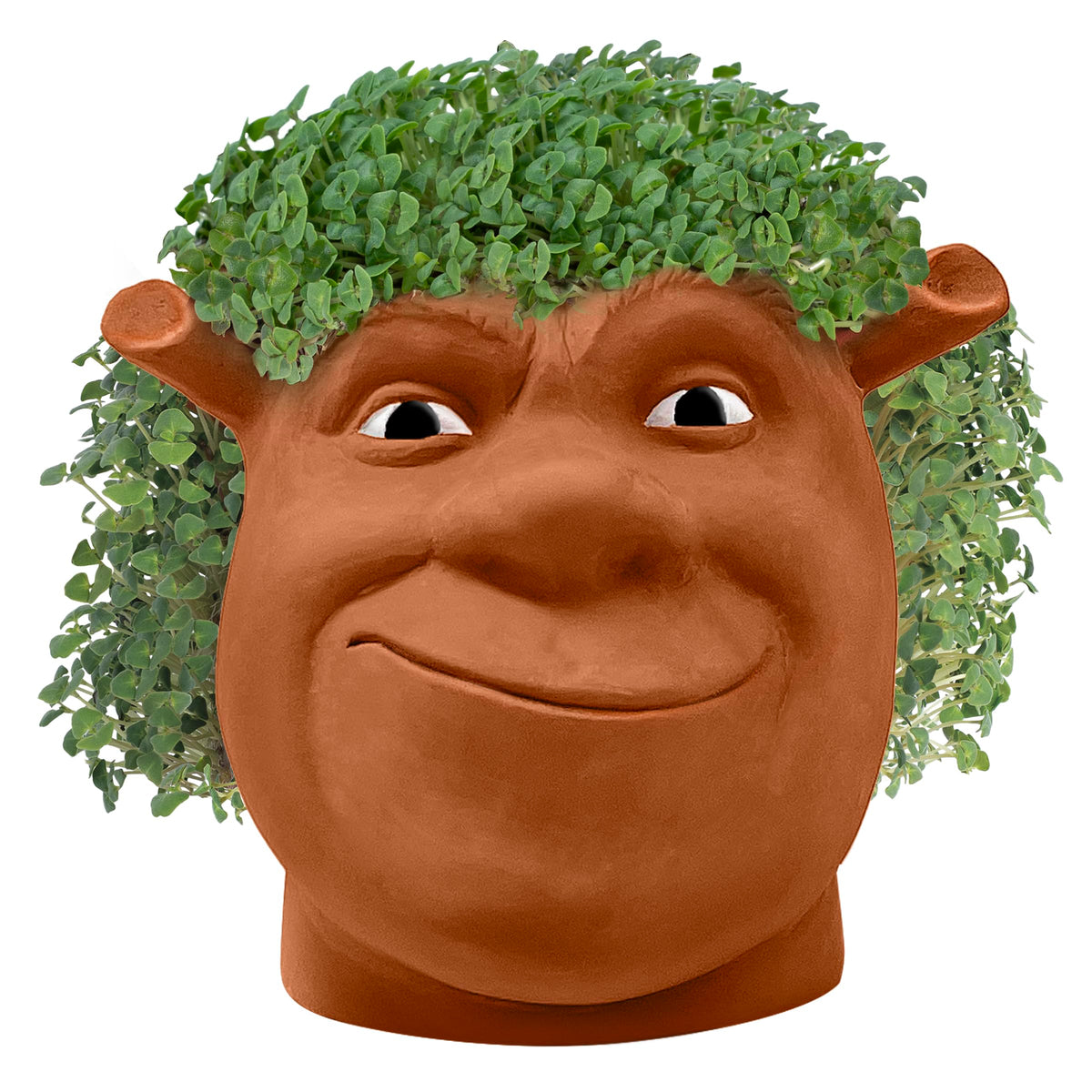 Chia Pet plastic drip tray keeps surfaces clean during watering.