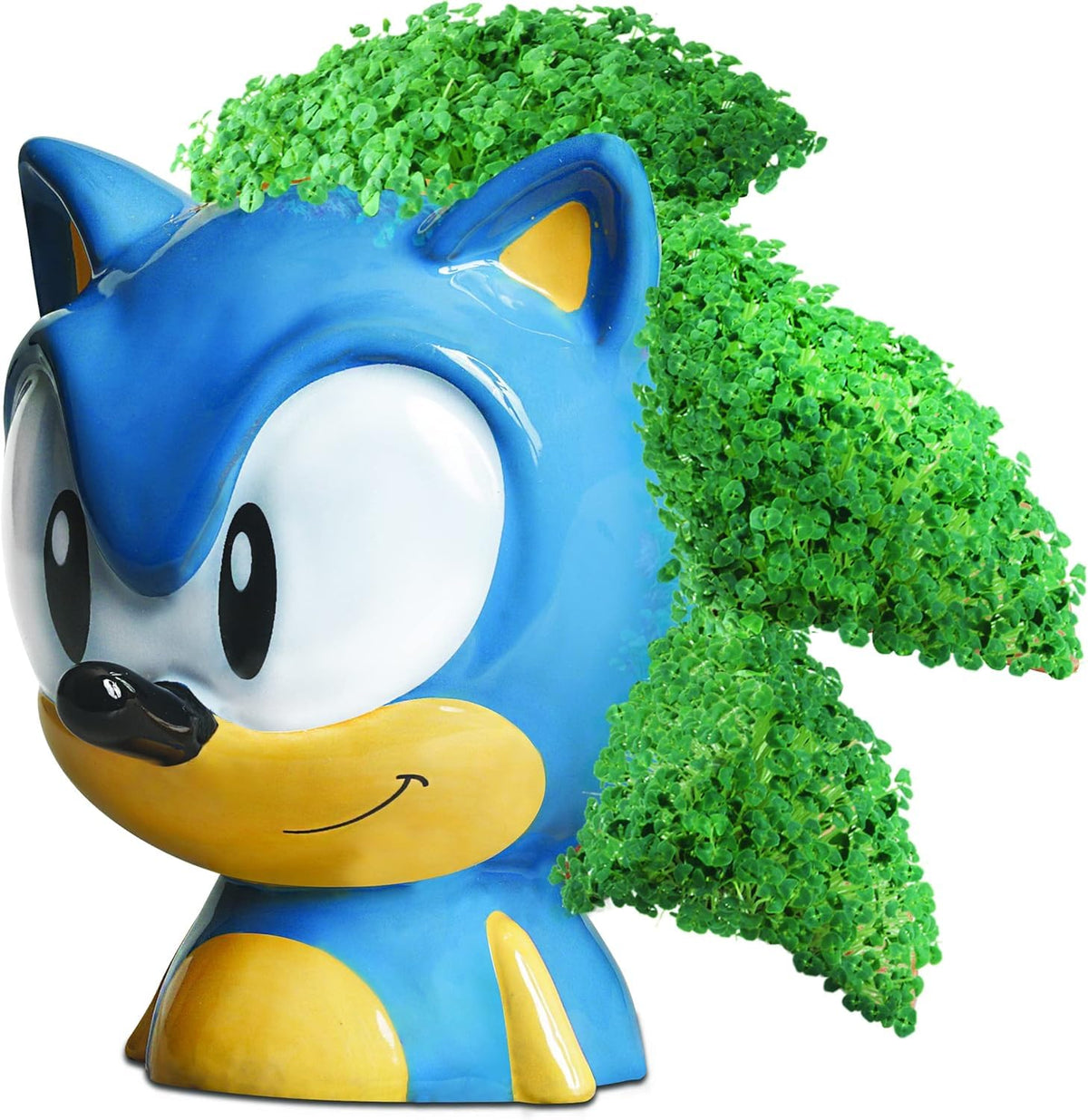 Chia Pet Sonic the Hedgehog growth in progress reveals a lush green coat.