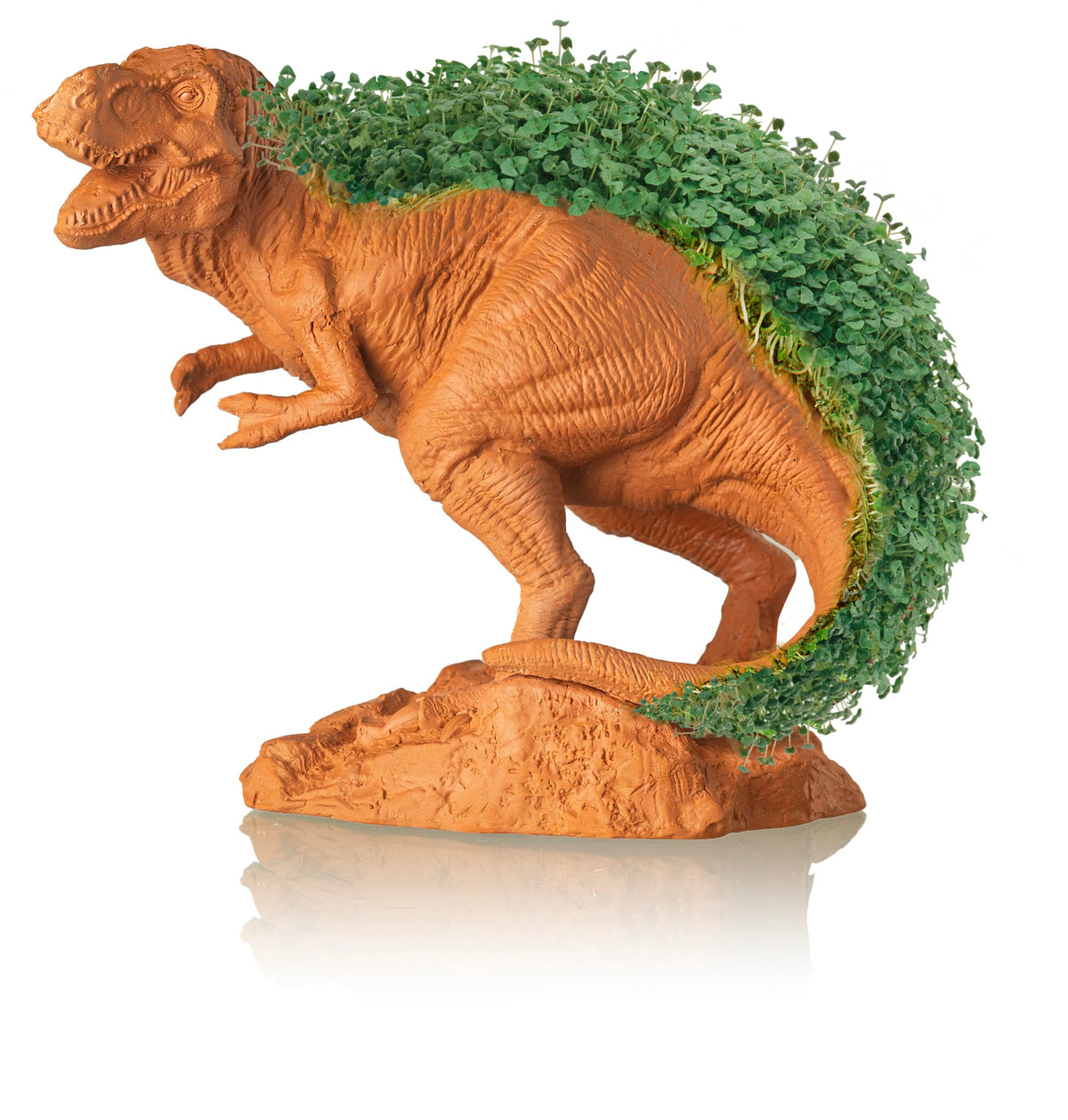 Chia Pet T-Rex gift-ready packaging makes a playful present for any occasion.