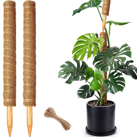 CHIAFFI 2-pack moss poles provide vertical support for potted climbing plants.