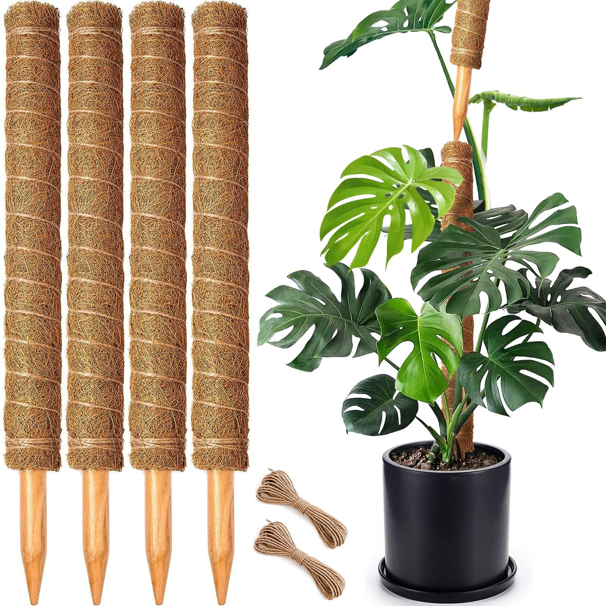 CHIAFFI moss poles for Monstera provide sturdy vertical support for climbing plants.