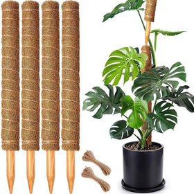 CHIAFFI moss poles for Monstera provide sturdy vertical support for climbing plants.