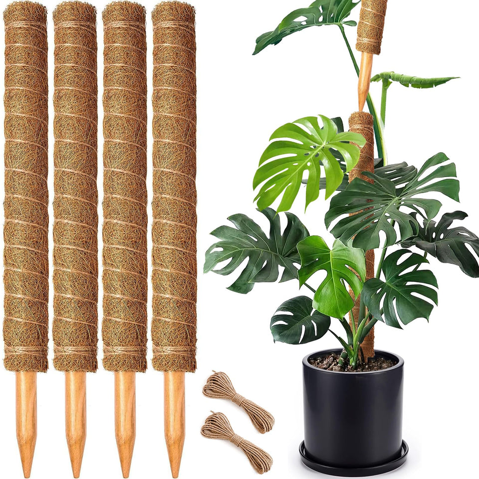 CHIAFFI moss poles for Monstera provide sturdy vertical support for climbing plants.