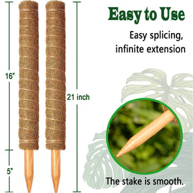 CHIAFFI extendable moss pole grows with your plant as it climbs.