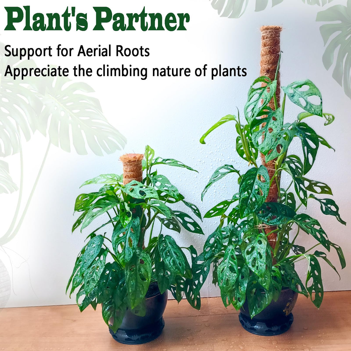 CHIAFFI plant totem provides versatile support for indoor and outdoor climbers.