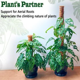 CHIAFFI plant totem provides versatile support for indoor and outdoor climbers.