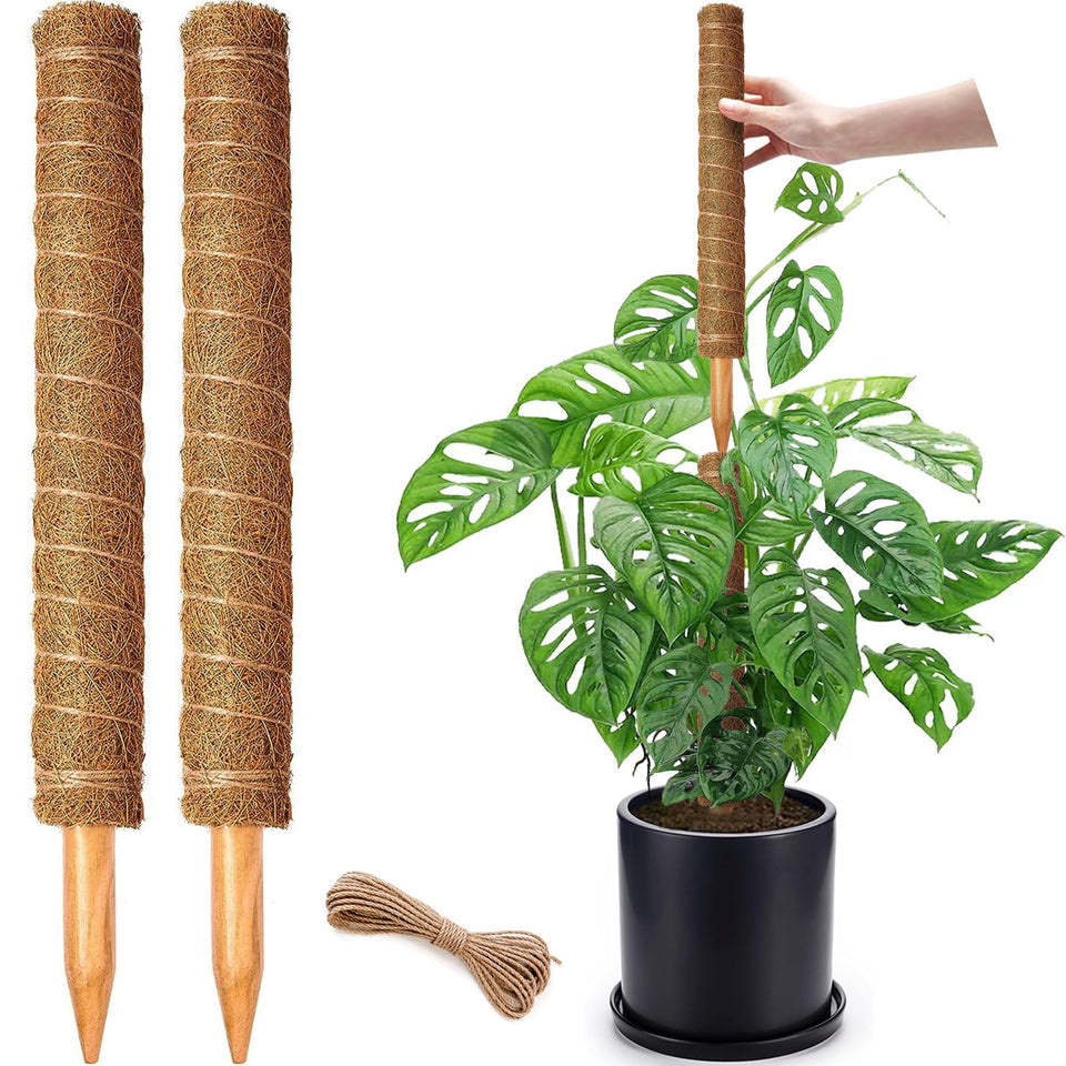 CHIAFFI moss pole 17-inch vertical setup supports climbing plants for fuller growth.