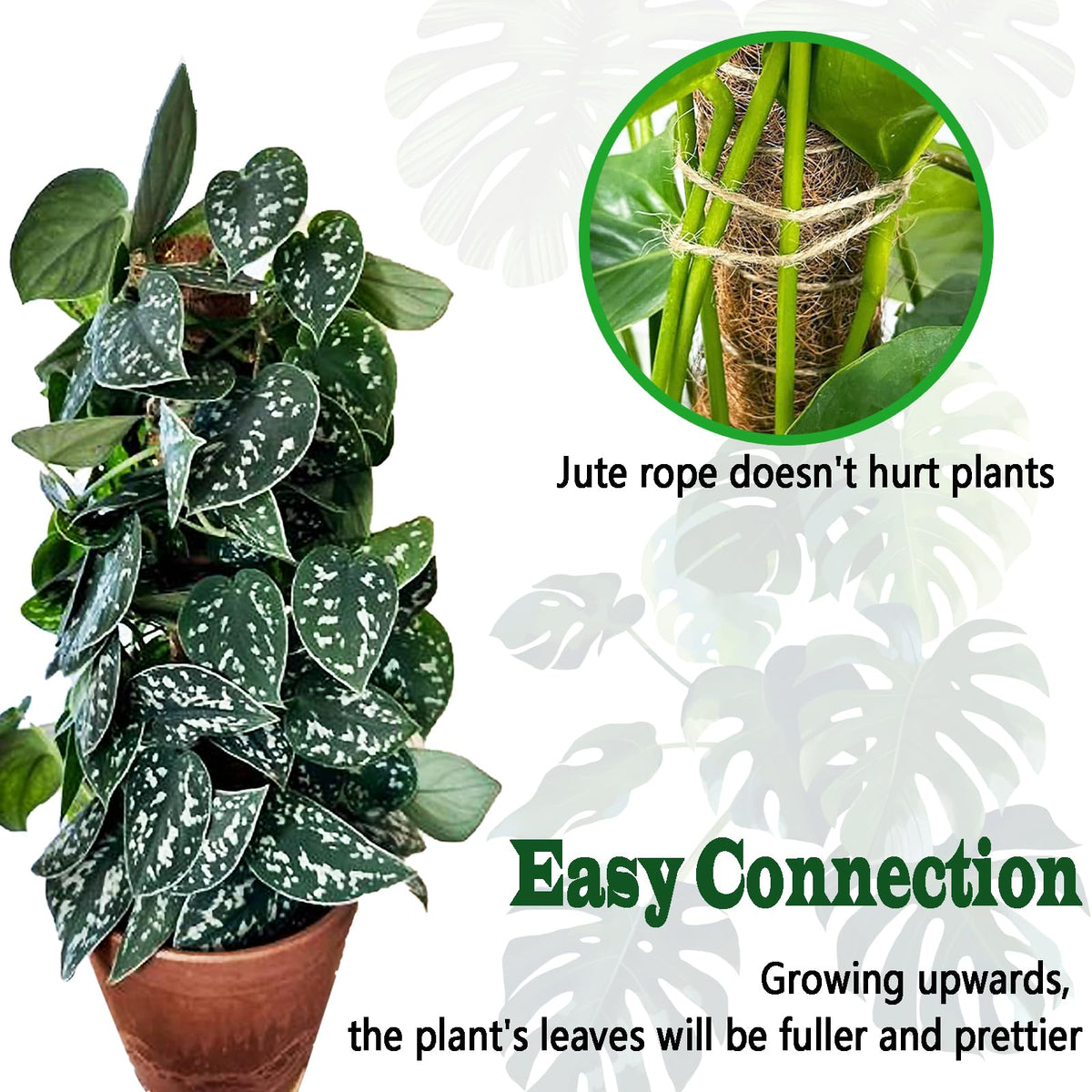 CHIAFFI moss pole helps pothos and Monstera climb with better grip.