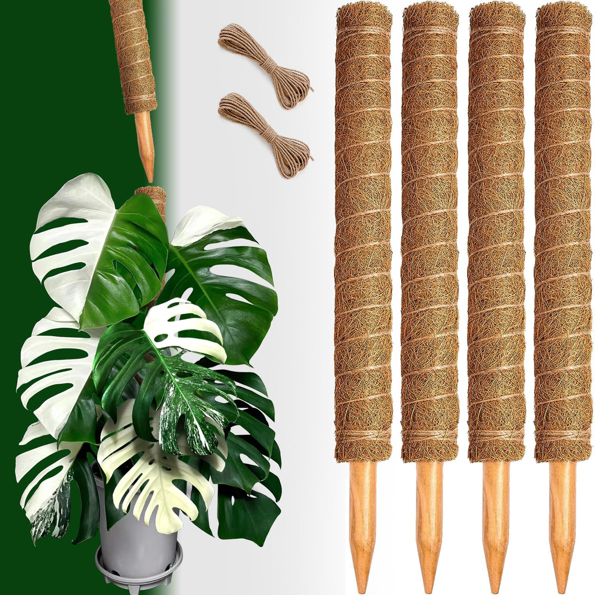 CHIAFFI moss poles offer easy expansion for taller, fuller plants.