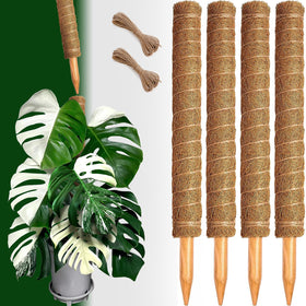 CHIAFFI moss poles offer easy expansion for taller, fuller plants.