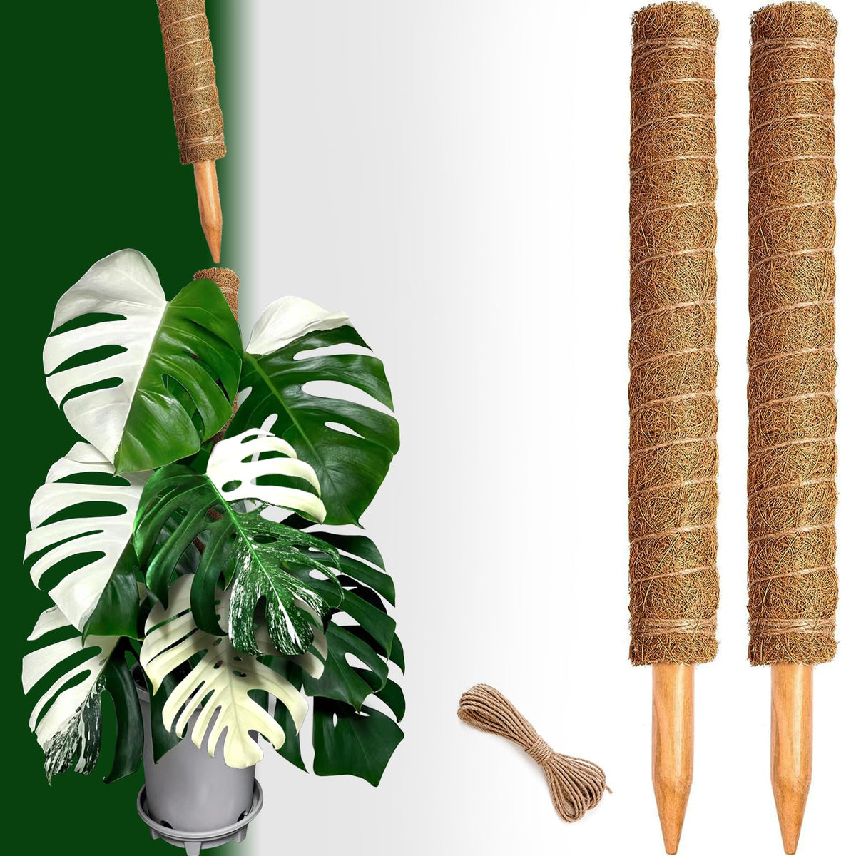 CHIAFFI durable, reusable moss pole for long-term plant training.