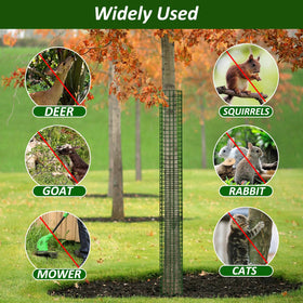 Chicarry guards protect saplings in a yard from deer and lawn equipment.