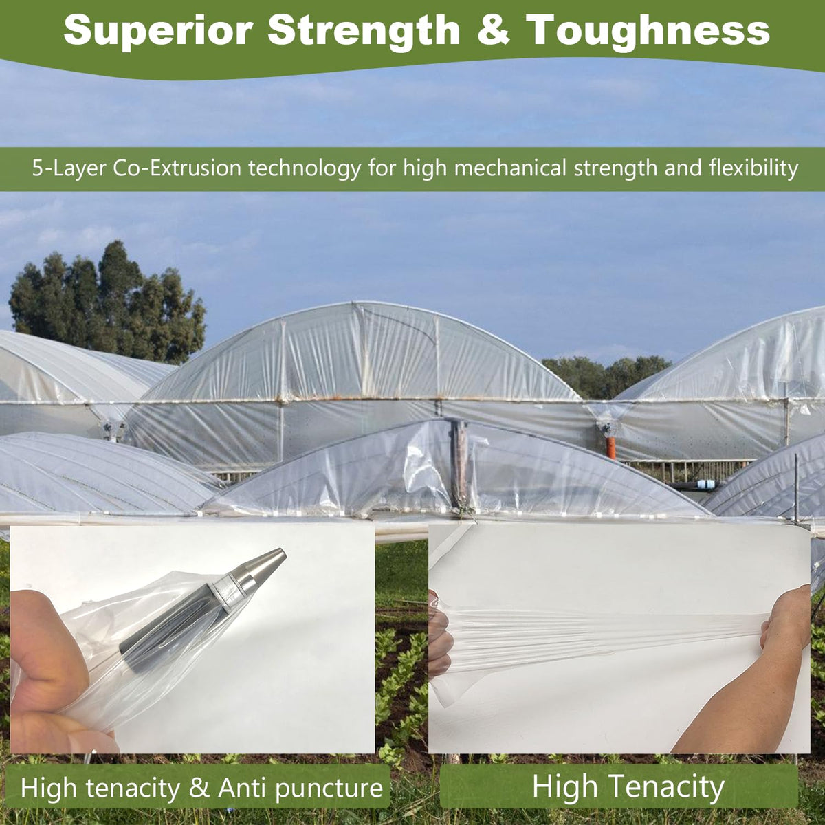 Chicarry greenhouse film 5-layer coextrusion close-up highlights strength and flexibility.