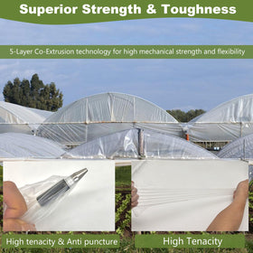 Chicarry greenhouse film 5-layer coextrusion close-up highlights strength and flexibility.