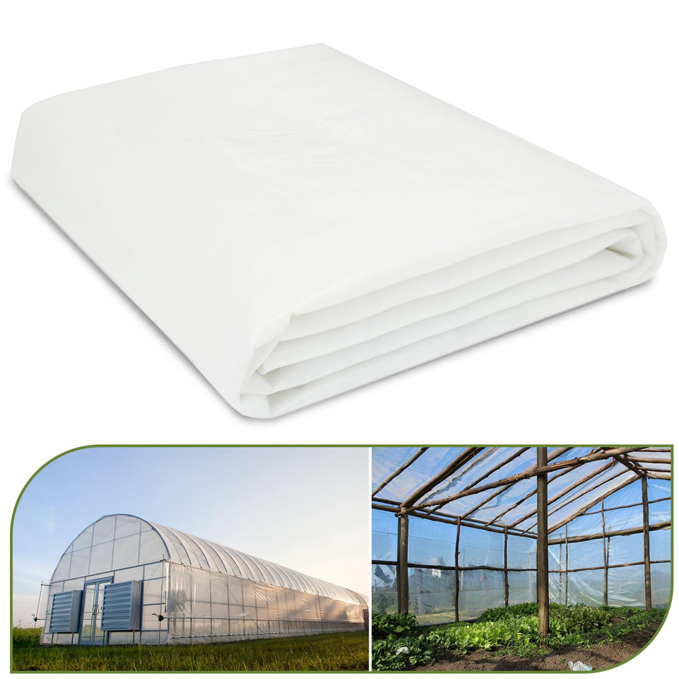 Chicarry greenhouse film 6mil clear roll over beds, protection and growth potential.