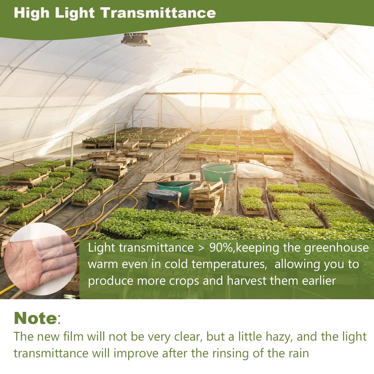 Chicarry anti-drip surface minimizes droplets for clear greenhouse visibility.