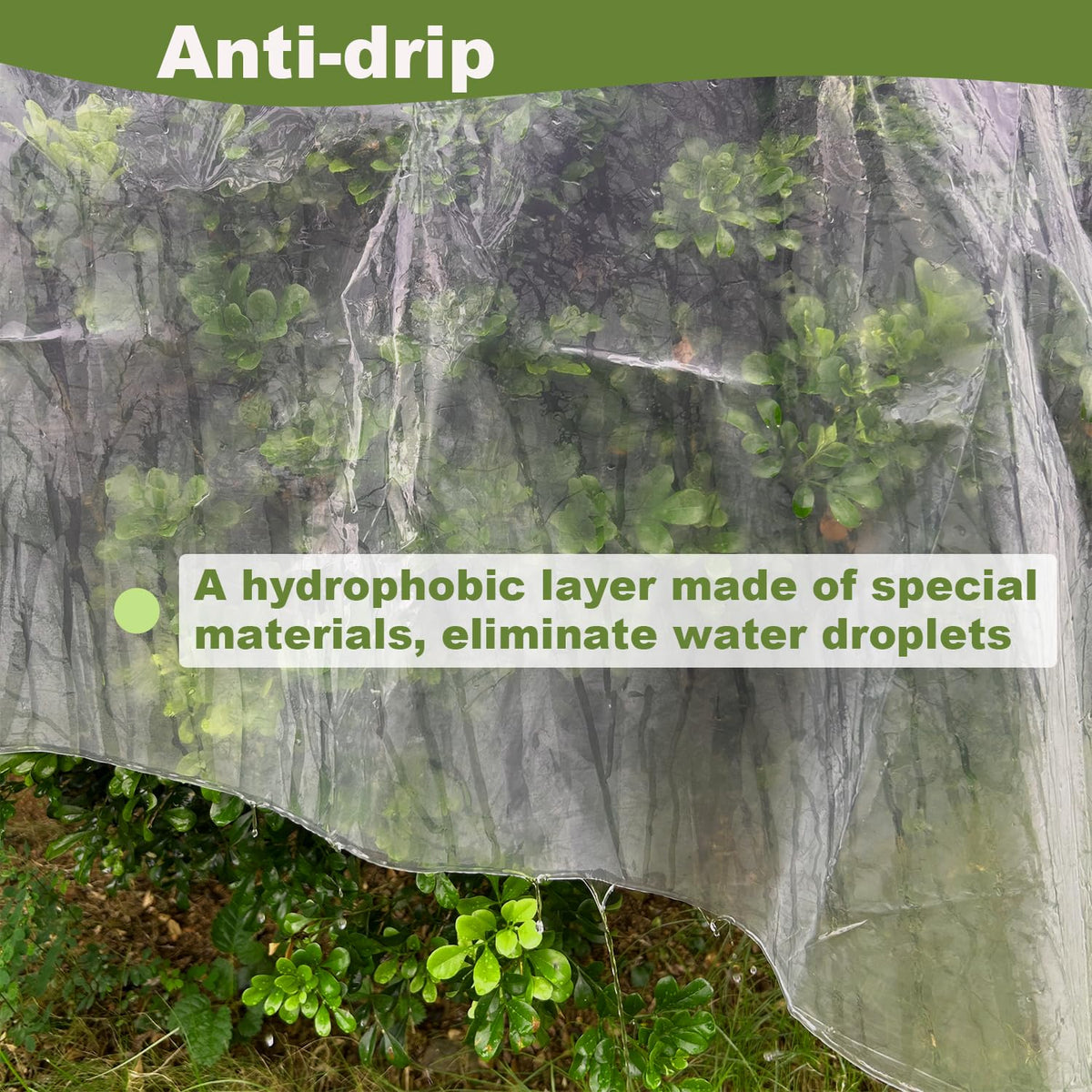 Chicarry greenhouse film high light transmittance evenly distributes sun for healthier growth