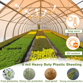 Chicarry greenhouse film UV-resistant layer shields crops during hot days