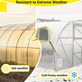 Chicarry Greenhouse Repair Tape packaging showing clear, UV-resistant film.