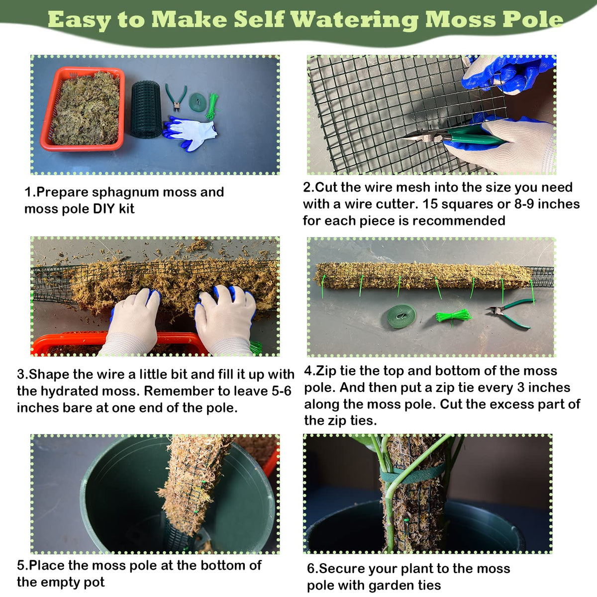 Chicarry assembly guide explains step-by-step moss pole setup
