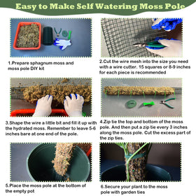 Chicarry assembly guide explains step-by-step moss pole setup