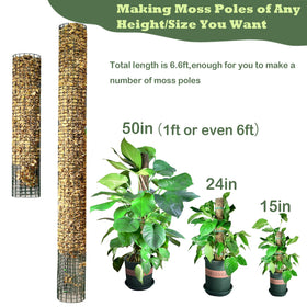 Chicarry garden ties secure climbing plants to the moss pole