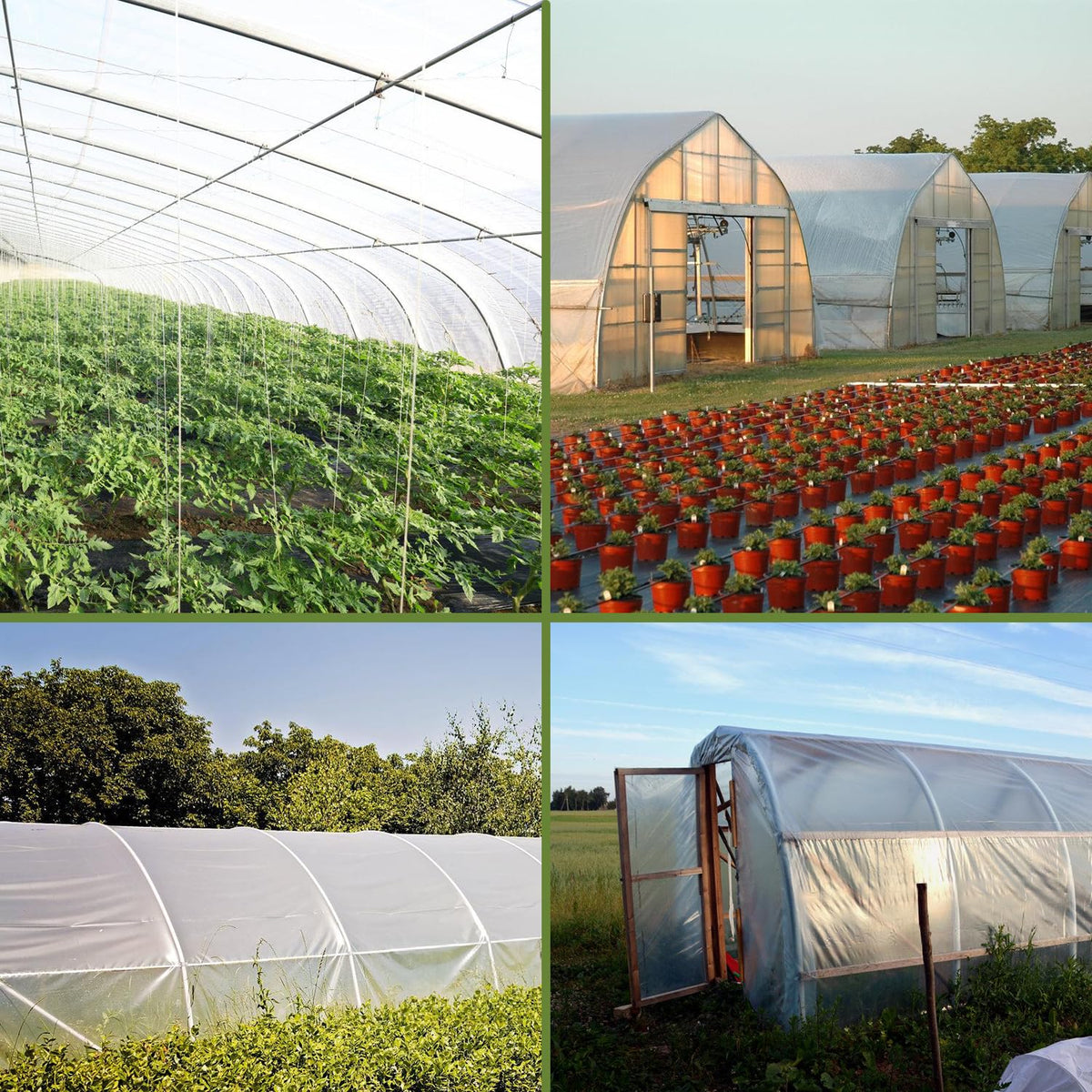 Chicarry 20x25 ft size fits many frame setups for versatile use.