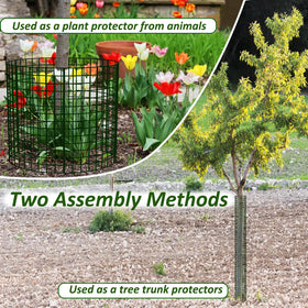 Chicarry guard acts as a growth aid, guiding upward growth of a young tree.